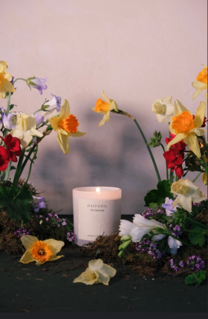 Daffodil | 400gm Candle | Daffodil & Peach Nectar