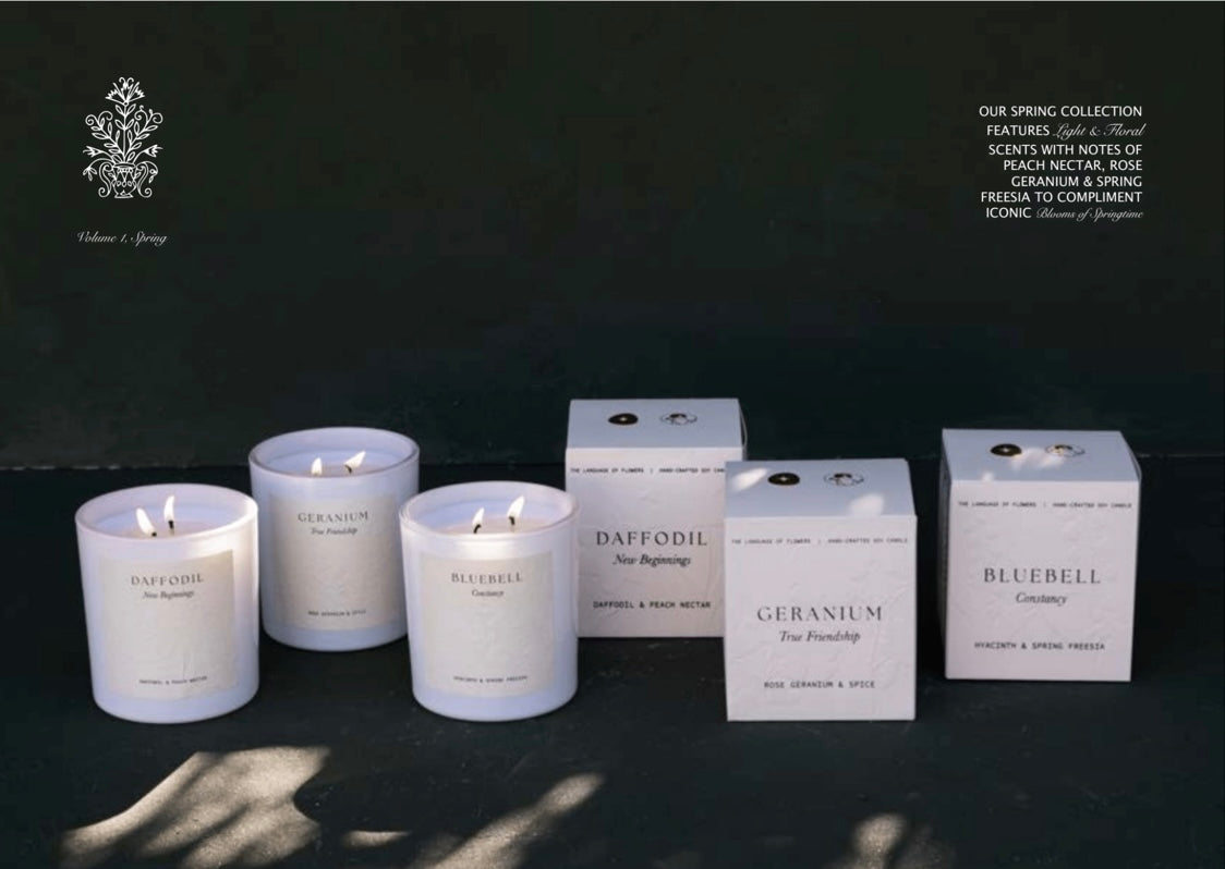 Daffodil | 400gm Candle | Daffodil & Peach Nectar