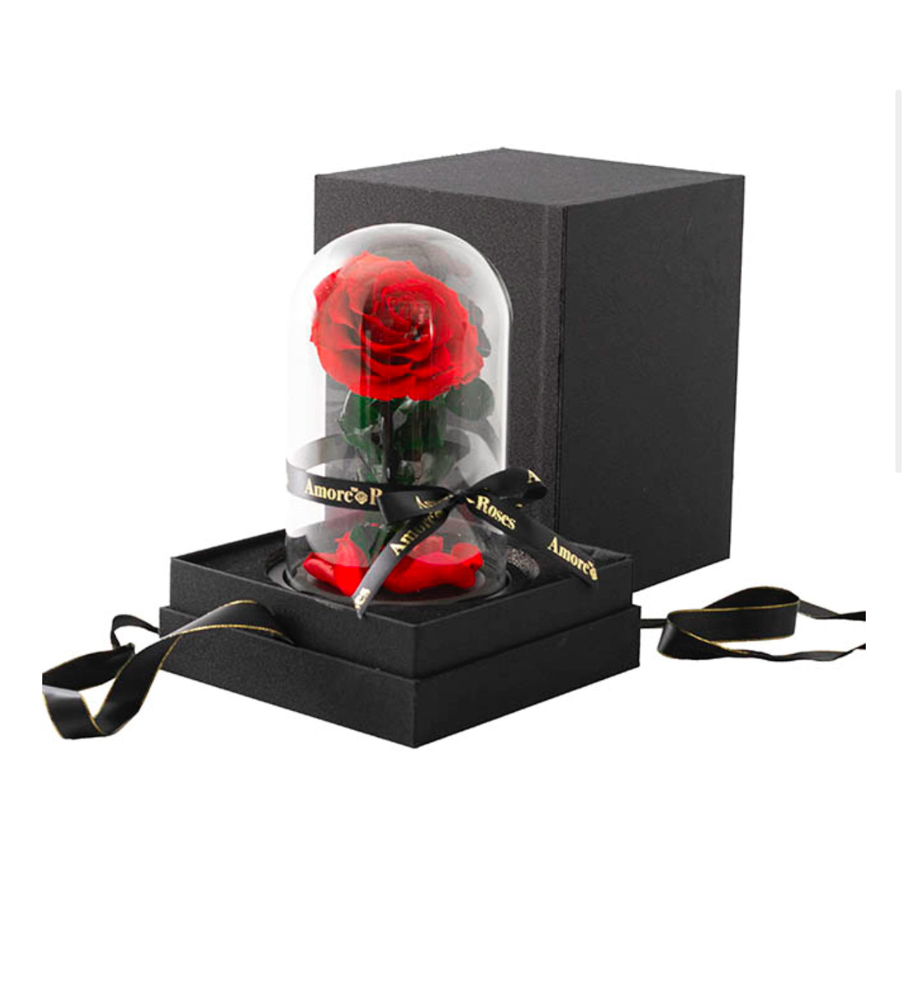 Amore Forever Rose Single Stem Cloche RED (ROSES THAT LAST A YEAR!!)