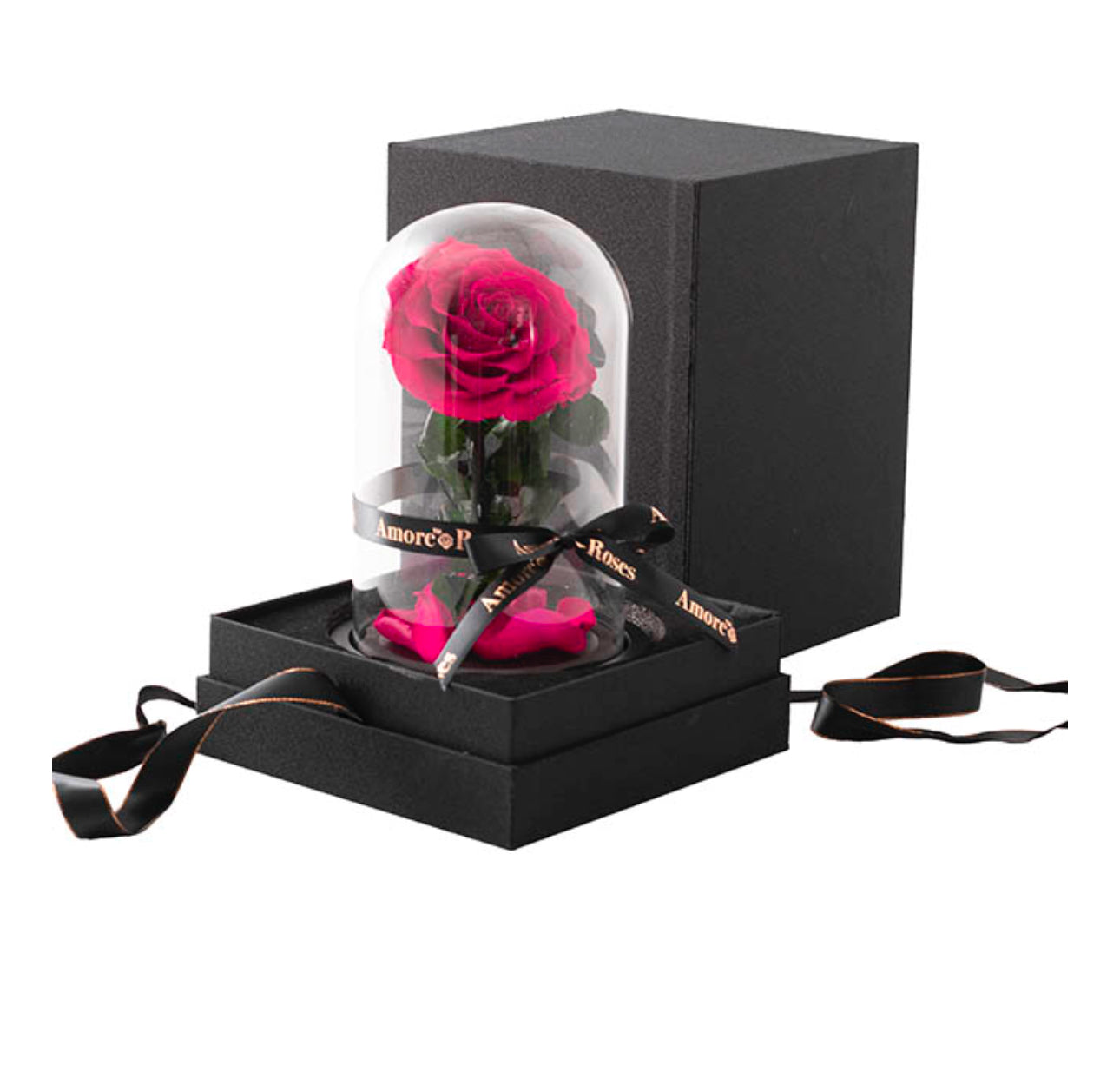 Amore Forever Rose Single Stem Cloche HOT PINK (ROSES THAT LAST A YEAR!!)