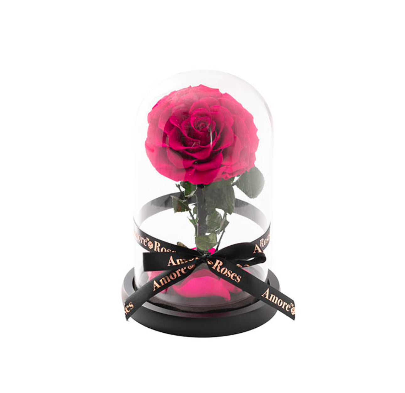 Amore Forever Rose Single Stem Cloche HOT PINK (ROSES THAT LAST A YEAR!!)