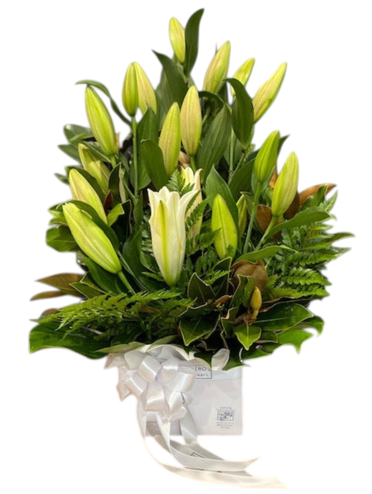 Kayden - Oriental Lily Box Arrangement
