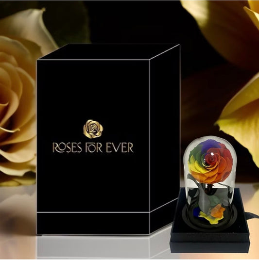 Rainbow - Everlasting Rose
