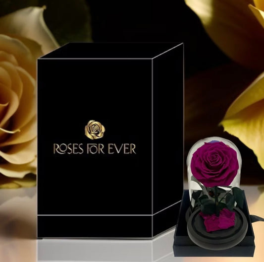 Purple - Everlasting Rose