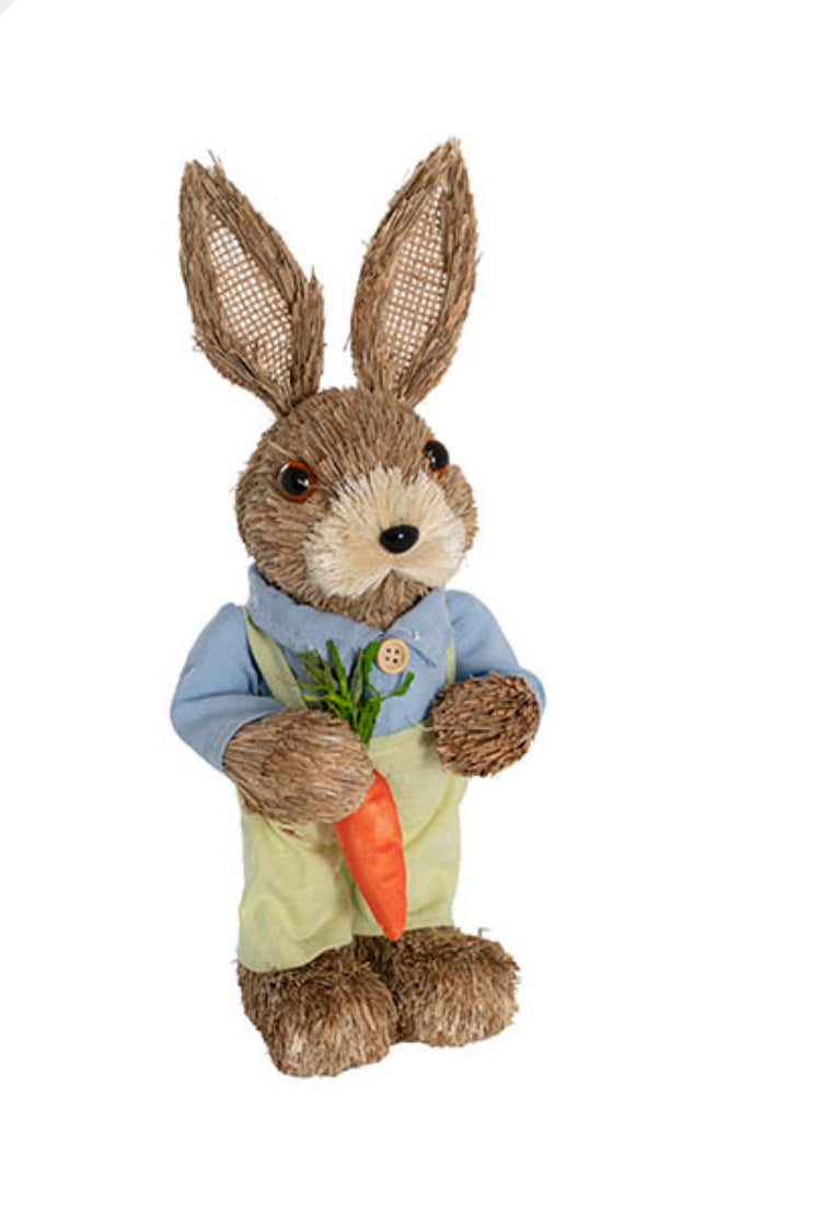 Boy Bunny w Carrot