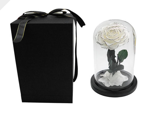 THE ROSE THAT LASTS A YEAR! - Rose Cloche and Box NOW AVAILABLE