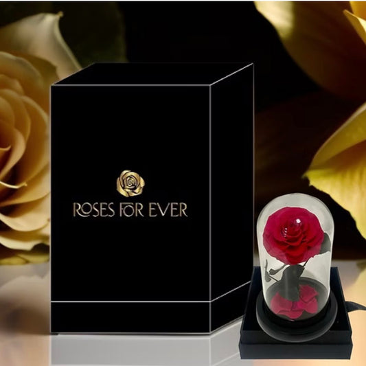 Hot Pink - Everlasting Rose