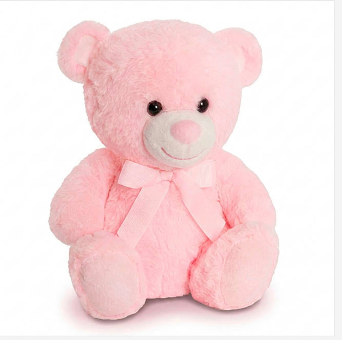 Baby Teddy Bear