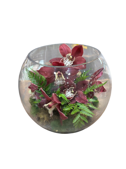 Orchid Terrarium