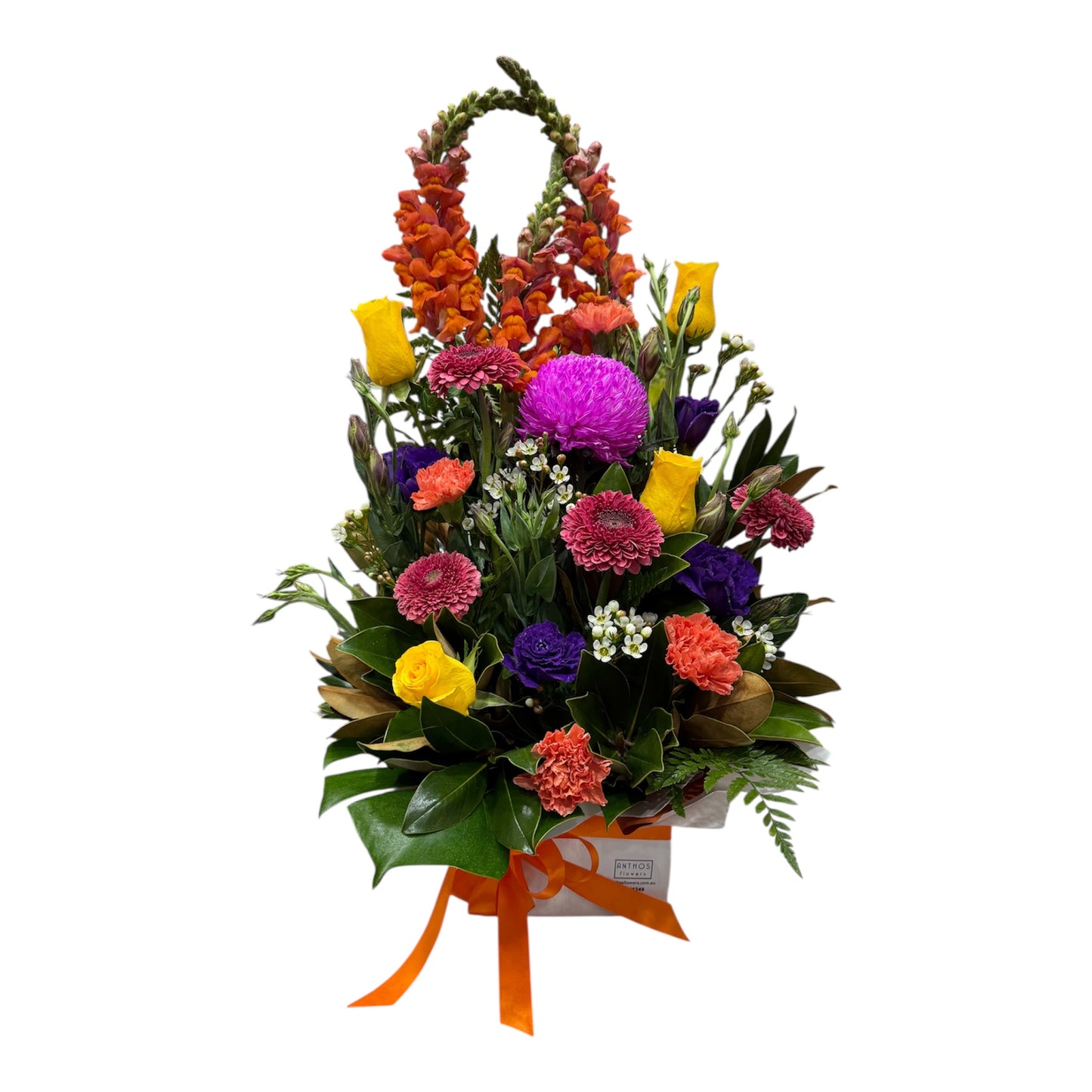 Eva - Vibrant Box Arrangement