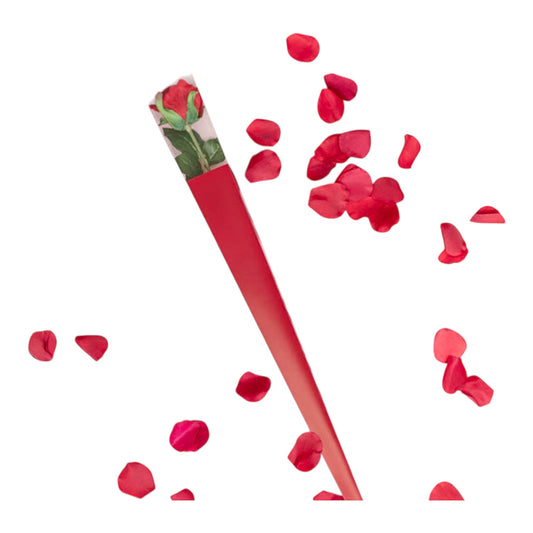 Single Red Rose Fresh Real Rose