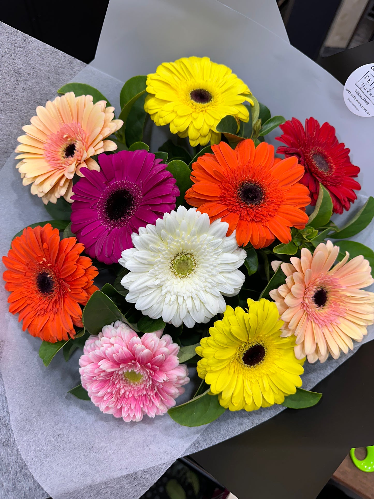 Anthony - Mixed Gerbera Bouquet