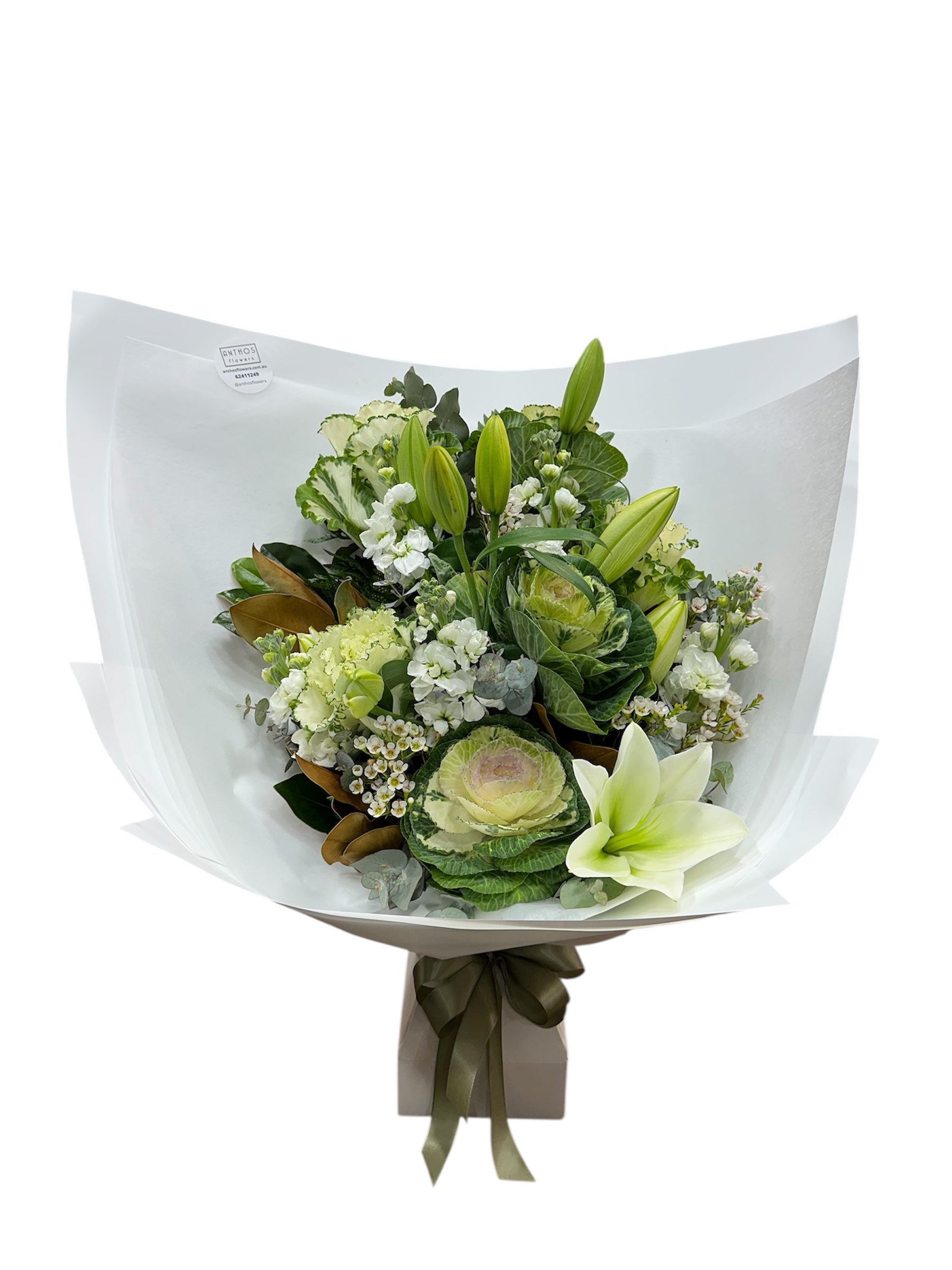 Bouquet of green and white flowers wrapped in white paper with a olive ribbon on a white background